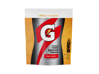 Gatorade Thirst Quencher Powder Fruit Punch 595g